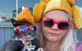 لحماية عيونها.. قطة مولوده بلا جفون تمتلك 100 زوج من النظارات الشمسية