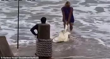 القبض على رجل لضربه أنواعًا محمية من أسماك القرش بمطرقة في فلوريدا  (فيديو)