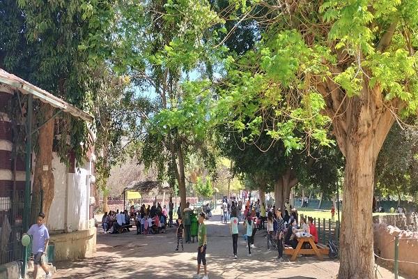 حديقة الحيوان تستقبل الزائرين في إجازة شم النسيم.. مواعيد العمل وسعر التذكرة