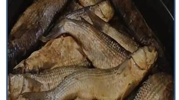 محافظة الجيزة تضبط 1.5 طن أسماك مملحة ومدخنة غير صالحة للاستهلاك الآدمي