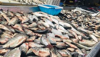  أسعار السمك اليوم بسوق العبور 18-4-2023