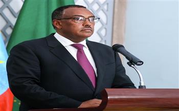 وزير الخارجية الإثيوبي في اتصال مع نظيره السوداني: قلقون بشأن القتال