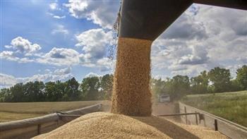 اتفاق بين بولندا وأوكرانيا بشأن نقل القمح الأوكراني
