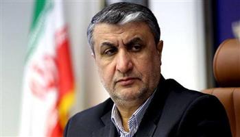 رئيس الوكالة النووية الإيرانية: المفاوضات مع الوكالة الدولية للطاقة الذرية تشهد تقدما