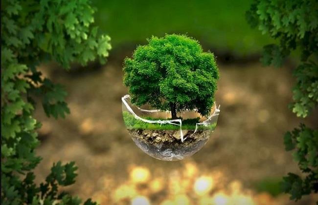 فرصة لإنقاذ الطبيعة.. ما هو يوم الأرض الذي يحتفل به العالم غدًا؟