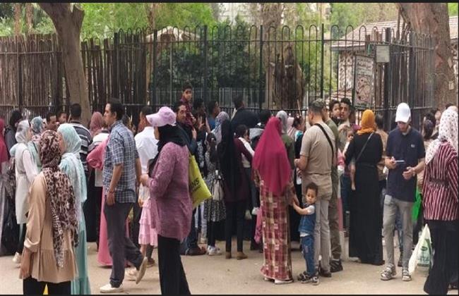 إقبال كثيف من المواطنين.. تألق حديقة الحيوان بالجيزة ثالث أيام العيد