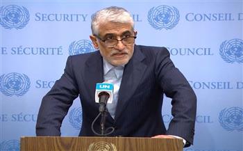 إيران: صمت مجلس الأمن سمح باستمرار جرائم الكيان الإسرائيلي ضد الفلسطينيين 