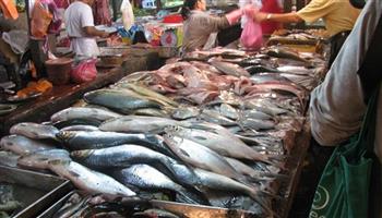 أسعار السمك اليوم في سوق العبور 26-4-2023