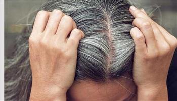 دراسة حديثة تكشف عن سبب تحول الشعر إلى اللون الرمادي