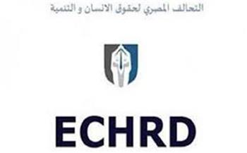 «المصري لحقوق الإنسان والتنمية» يصدر تقريرا عن التعلبيم الفني اليوم 