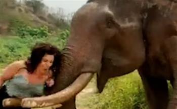 فيديو.. سيدة تغيظ أنثى فيل بموزة فتلقت عقابًا قاسيًا