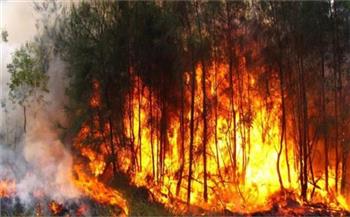 الطقس الجاف يشعل حرائق غابات في كوريا الجنوبية