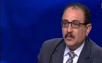 خبير علاقات دولية: مصر واليابان شراكة استراتيجية بعمق تاريخي