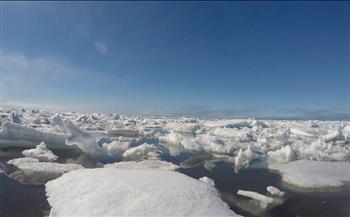 القارة القطبية الجنوبية تسجل أصغر منطقة جليد منذ 44 عاما