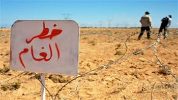 الجزائر: حقول الألغام في الحدود الشرقية والغربية جريمة استعمارية