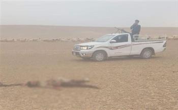 رعاة أغنام يقتلون إرهابيا في صحراء العراق