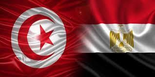 سفير مصر بتونس يؤكد عمق العلاقات التاريخية الثقافية بين البلدين 