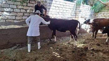 وزير الزراعة: تحصين 5.8 مليون رأس ماشية ضد الحمى القلاعية والوادي المتصدع