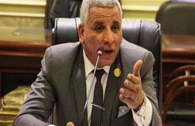 برلماني: قرارات الرئيس تعكس اهتمامه بالعمالة غير المنتظمة وتوفير الحماية الاجتماعية