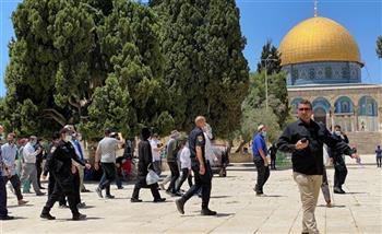 مستوطنون يجددون اقتحامهم للمسجد الأقصى بحماية شرطة الاحتلال