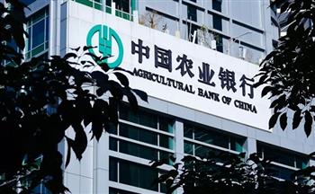 البنك الزراعي الصيني يعزز الدعم لقطاع الصناعات التحويلية