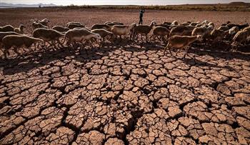 تقرير: المغرب يسجل مستوى جفاف قياسيًا لم يصله منذ 40 عامًا