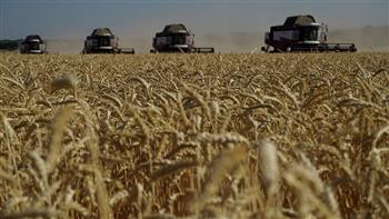 الكرملين يشترط ضرورة تنفيذ الوعود المقدمة لروسيا لتمديد صفقة الحبوب