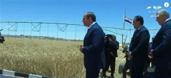 مع بدء موسم الحصاد.. جولة للرئيس السيسي وسط مزارع القمح (فيديو)