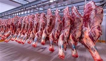 شعبة القصابين: 4 أسباب وراء ارتفاع أسعار اللحوم البلدي في الأسواق