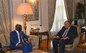 وزير الخارجية يؤكد حرص مصر على تعزيز التعاون الاقتصادي مع موريتانيا