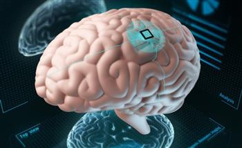 باحثون يطورون وسيلة علاجية جديدة للقضاء على أورام المخ 