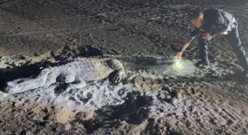 الشرطة في ورطة.. تحفة رملية تثير الرعب على أحد شواطئ فلوريدا