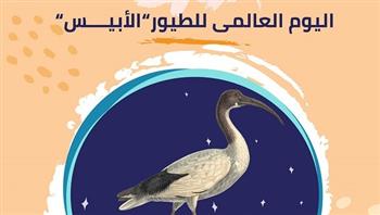 «القومي للحضارة» ينظم ورشة حكي لليوم العالمي للطيور «الآيبس»