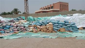 نائب محافظ المنيا: توريد 247 ألف طن من القمح بالشون والصوامع