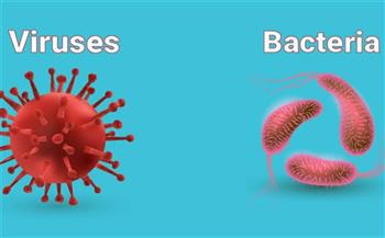 هذا هو الفرق بين البكتيريا الضارة والفيروسات