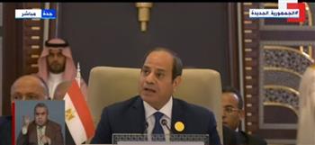 السيسي: مصر ستدعم جميع الجهود لتفعيل الدور العربي المشترك| فيديو