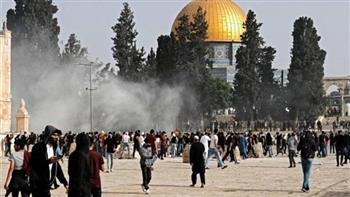«الأوقاف الفلسطينية»: 19 اقتحامًا للأقصى خلال شهر أبريل