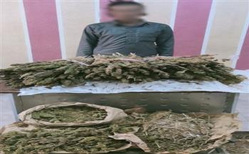 سقوط تاجر مخدرات بـ 20 كيلو هيدرو في سيناء