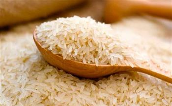 الكاميرون تعتمد خطة استراتيجية لرفع إنتاجها من الأرز لـ750 ألف طن بحلول عام 2030 