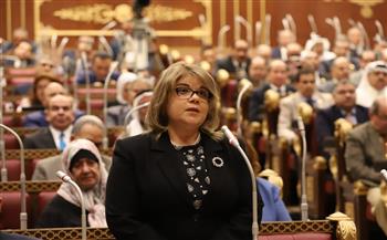 وكيلة مجلس الشيوخ تطالب بضرورة تعميق صناعة الدواء في مصر