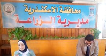 زراعة الإسكندرية: دعم مستمر من الدولة للفلاحين 