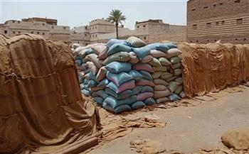 توريد 309 آلاف طن من القمح بالشون والصوامع بمحافظة المنيا