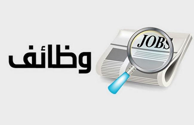 حوافز يومية وشهرية.. «الشباب والرياضة» تعلن عن فرص عمل