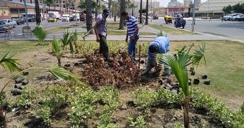 التنمية المحلية تتابع تنفيذ المبادرة الرئاسية لزراعة  100 مليون شجرة