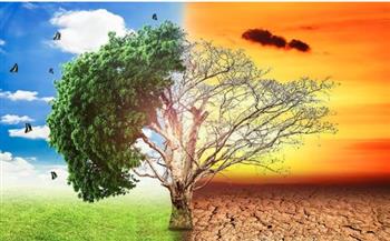علي قطب: المنظمة العالمية للأرصاد الجوية تحذر من فاتورة كارثية لتغير المناخ