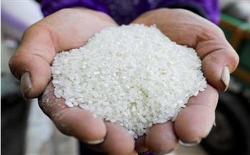 3 آلاف جنيه انخفاض.. شعبة الأرز تكشف مفاجئة بشأن الأسعار 