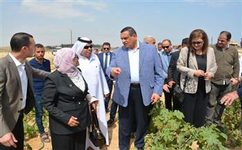 وزير التنمية المحلية: تنفيذ مشروعات غير مسبوقة بمئات المليارات بشمال سيناء