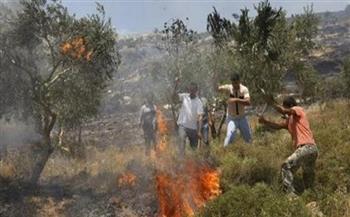 مستوطنون يحرقون أشجاراً شمال غرب نابلس