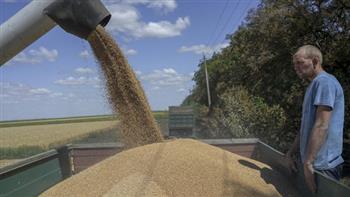 بروكسل تنوي تمديد القيود على استيراد الحبوب الأوكرانية 