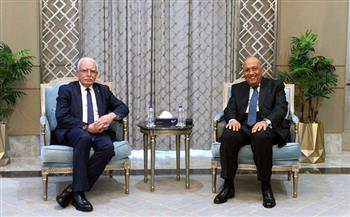 مباحثات بين وزير الخارجية ونظيره الفلسطيني بشأن جهود دعم القضية الفلسطينية